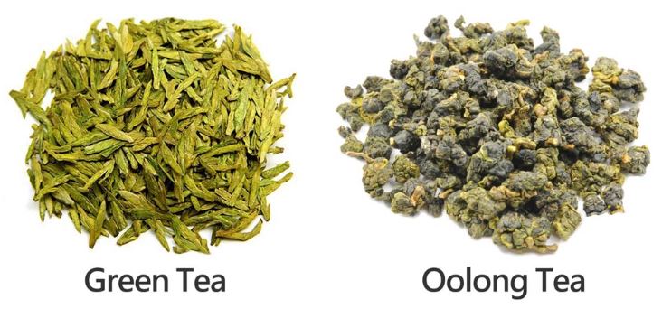 green tea and oolong tea