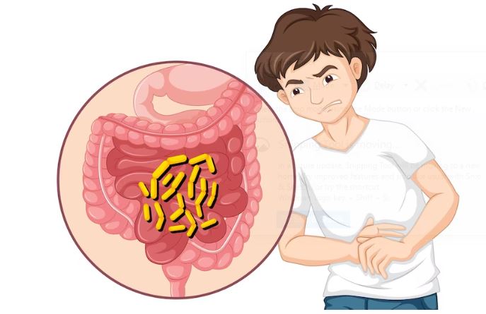 Bifidobacterium: Longevity Bacteria