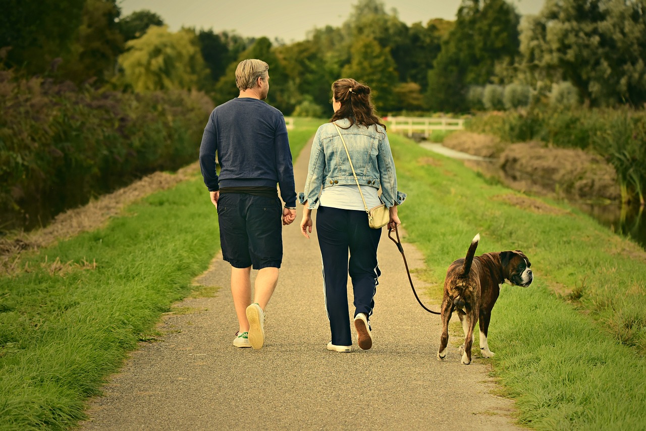 11 minutes of brisk walking per day reduces the risk of premature death!