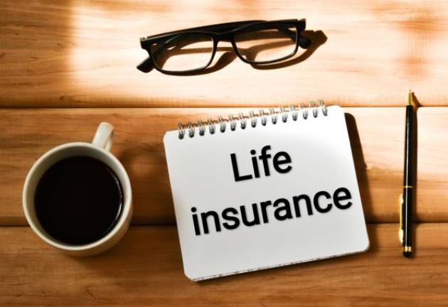 Gerber Life Insurance's 2 Policies: Term & Whole Life Insurance!