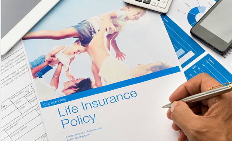 Gerber Life Insurance's 2 Policies: Term & Whole Life Insurance!