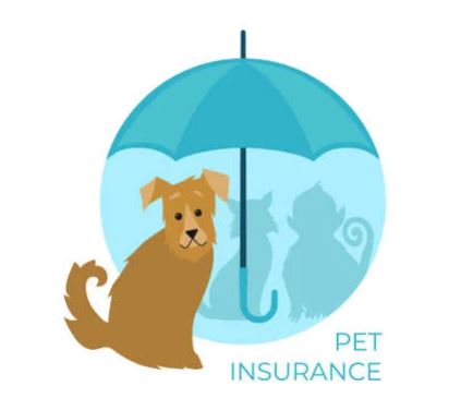     Pet Insurance | 9 Best Pet Insurance