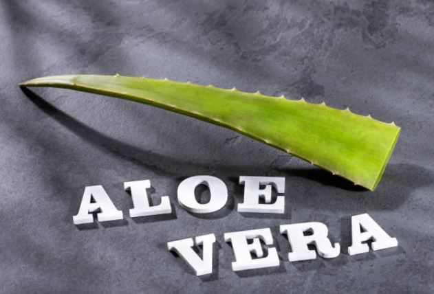 Aloe Vera Juice