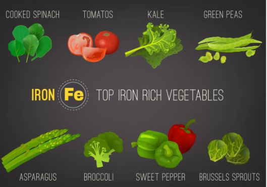 Iron-Rich Foods: 8 Essential Foods to Include in Your Diet!